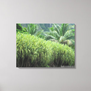 OAHU HAWAII #2 CANVAS