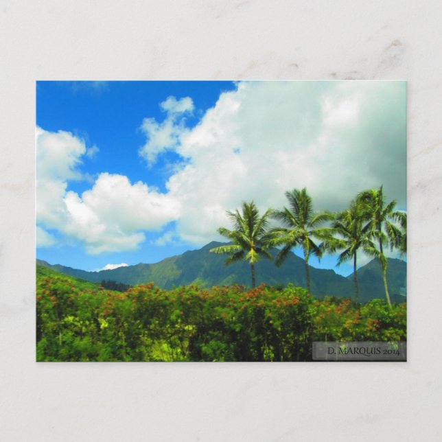 OAHU,HAWAII#6 CARTÃO POSTAL (Frente)