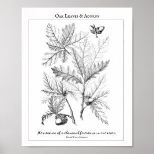 Oak Folhas e Acordas Poster de Cotação Personalizá