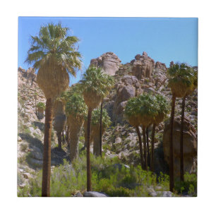 Oásis Lost Palms I no Parque Nacional Joshua Tree