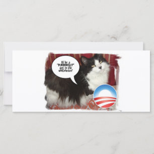 Obama Pet/Humor Político