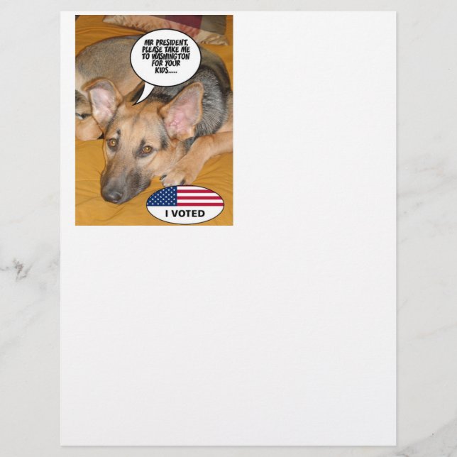 Obama Pet/Whitehouse Humor (Frente)