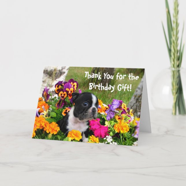 Obrigado Boston Terrier - Cartão de saudação (Frente)