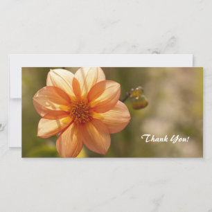 Obrigado Cartão com fotos