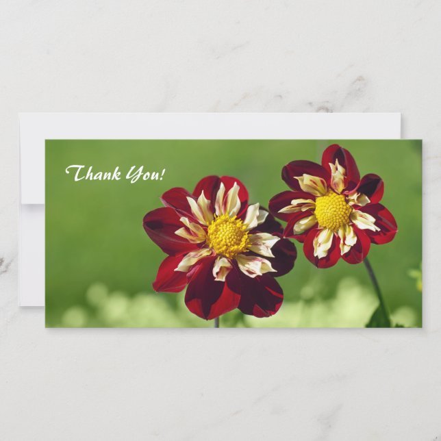 Obrigado Cartão com fotos (Frente)