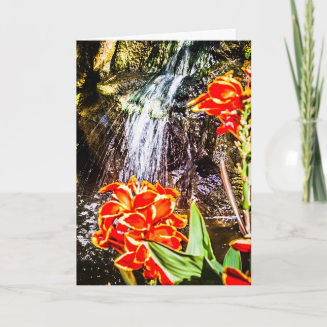 Obrigado, cartão de boas-vindas (Frente)