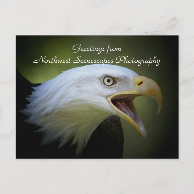 Obrigado cartão postal (Frente)