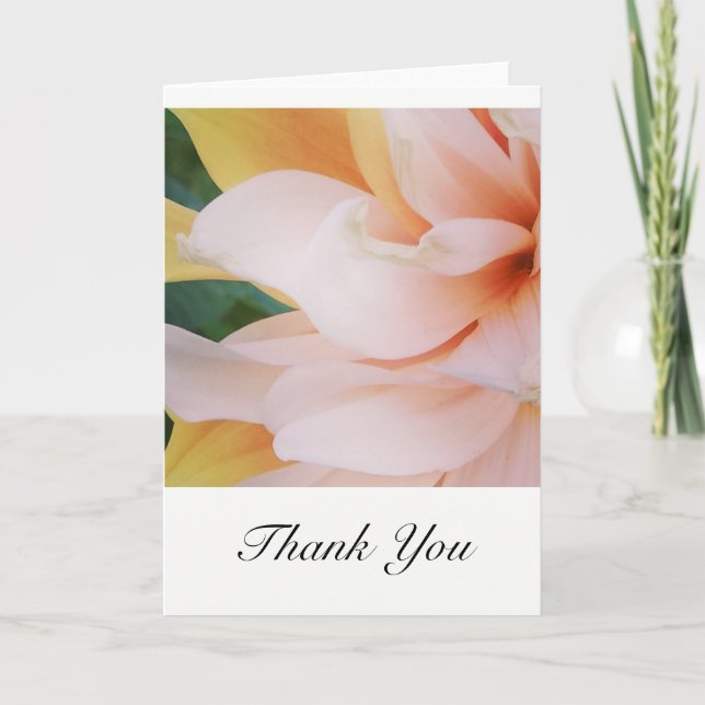 Obrigado, cartões (Frente)