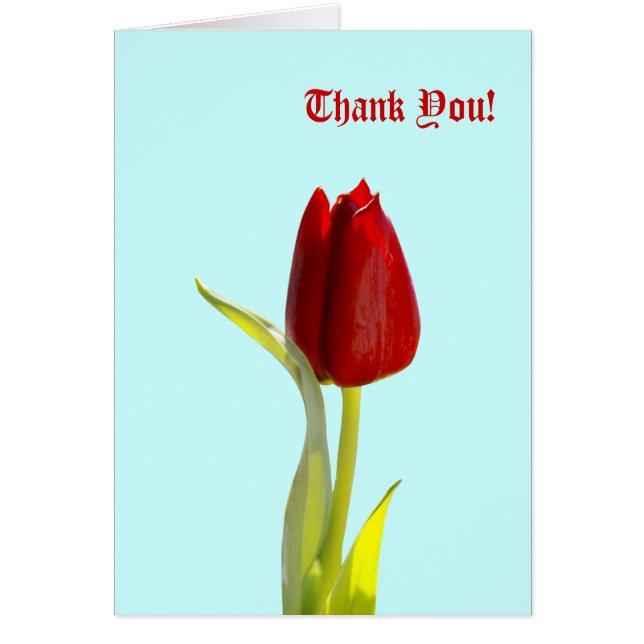 Obrigado! Cartões (Frente)