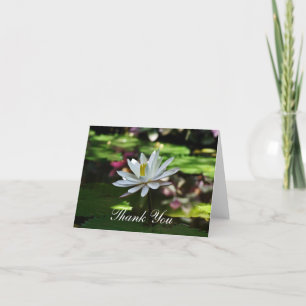 Obrigado Cartões - Água Lily em Pond