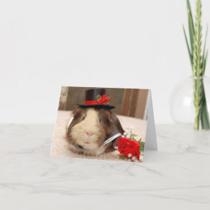 Obrigado! Cartões de agradecimentos