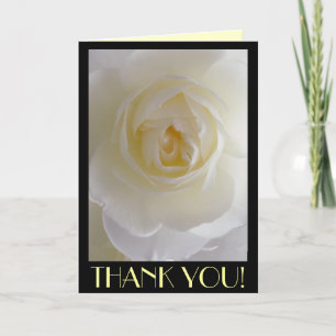 Obrigado Cartões Flores Brancas Cartão de Saudação