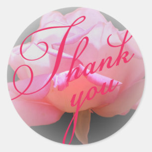 Obrigado do rosa do rosa você etiqueta