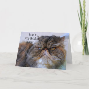 Obrigado, Gatinho Persa Do Calico, Cartão Princes