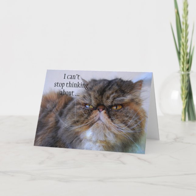 Obrigado, Gatinho Persa Do Calico, Cartão Princesa (Frente)