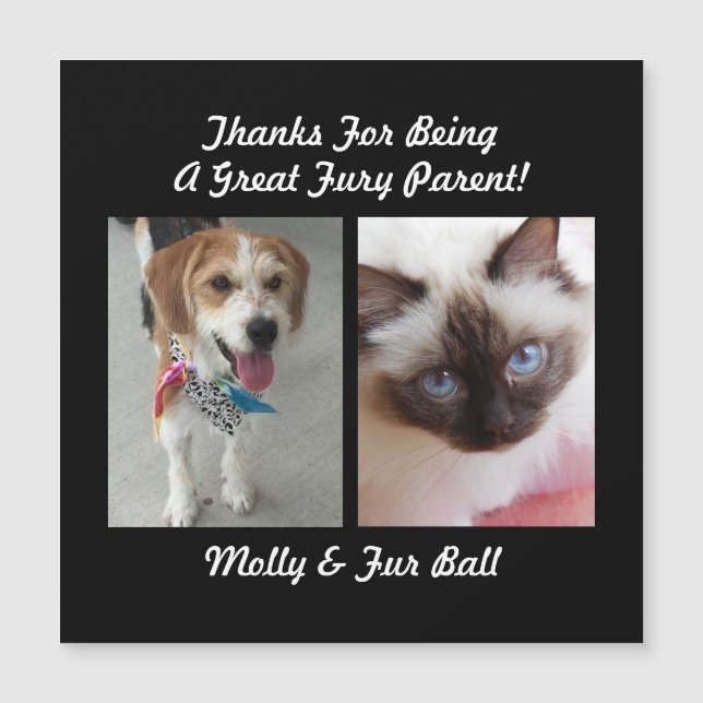 Obrigado Grande Furioso Pai Mensagem de Pet DIY &N (Frente)