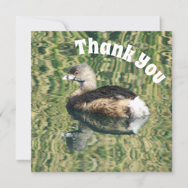 Obrigado Grebe e Reflexão Foto Apreciação (Frente)