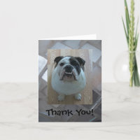 Obrigado inglês do buldogue você cartões de nota!