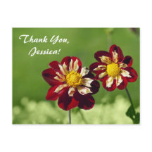 Obrigado, Jessica! Cartão Postal