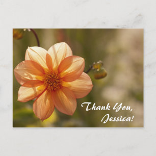 Obrigado, Jessica! Cartão Postal