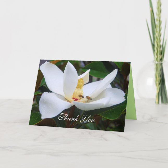 Obrigado Magnolia e Cartão das Abelhas de Mel (Frente)