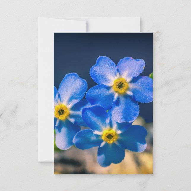 Obrigado pelo Cartões de agradecimentos de gentile (Frente)