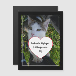Obrigado por adotar o amor para sempre Gato foto p
