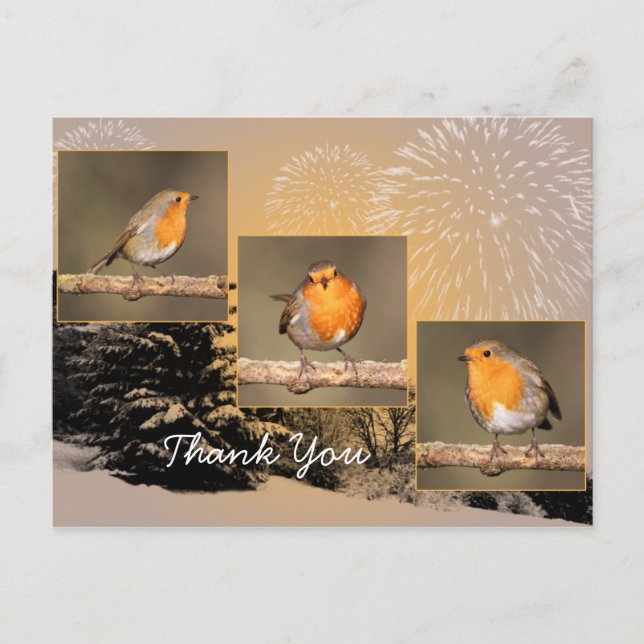 Obrigado Robin Tryptych Cartão Postal (Frente)