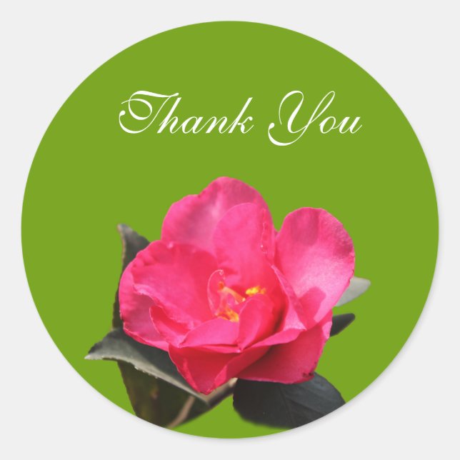 obrigado rosa da camellia, seus adesivos (Frente)