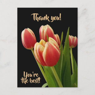 Obrigado, Você é o Melhor Cartão Postal Com Tulipa