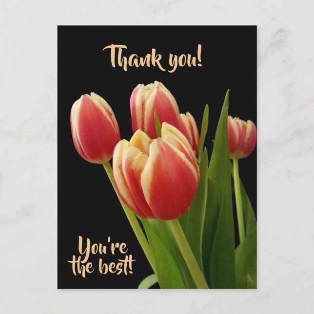 Obrigado, Você é o Melhor Cartão Postal Com Tulipa (Frente)