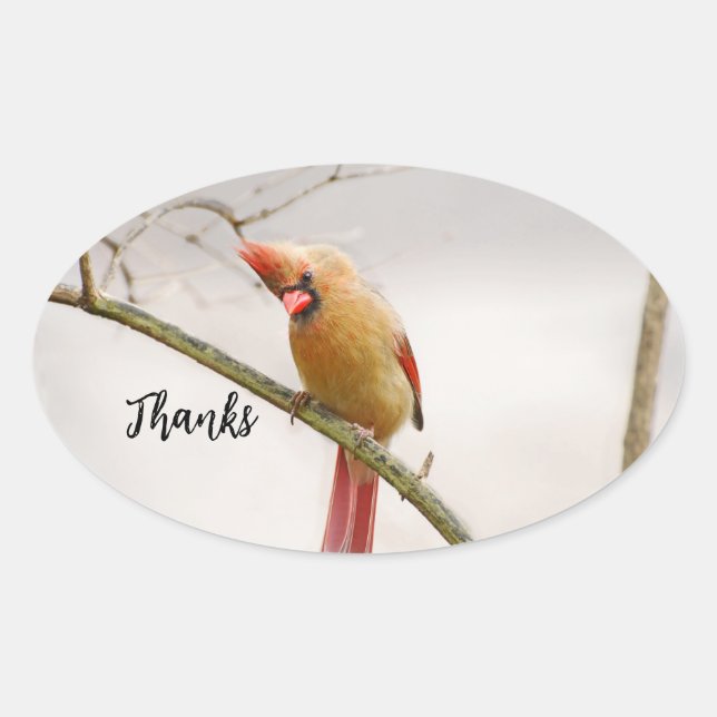 Obrigados adesivo oval (Frente)