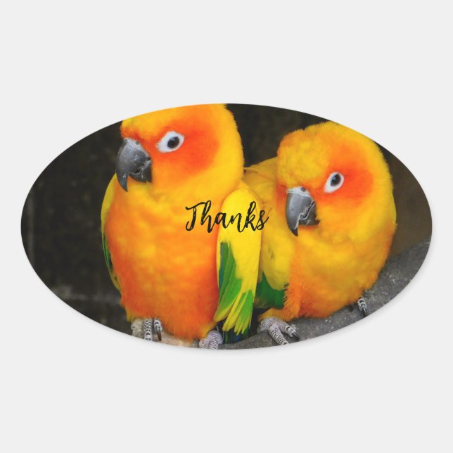 Obrigados adesivo oval (Frente)