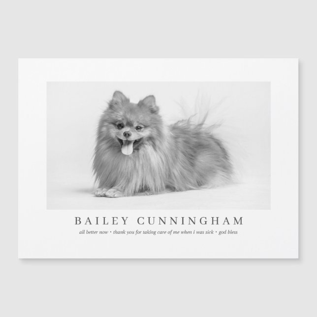 Obrigados De Pet De Foto Modernos E Simples Enferm (Frente)