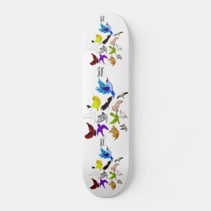 Obrigados para a seguinte skate