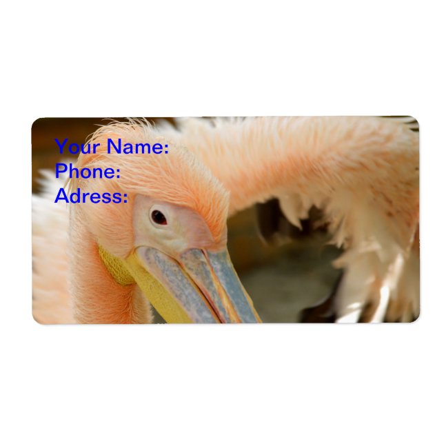 Observando a sua etiqueta pelicana (Frente)