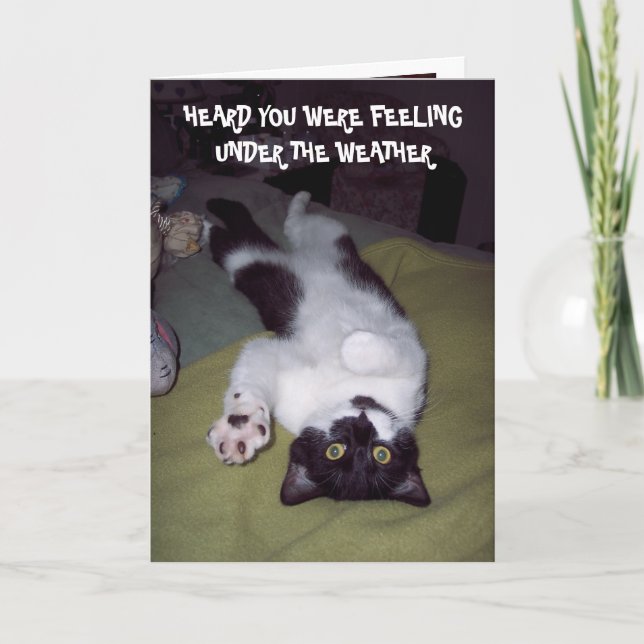 OBTENHA O CARTÃO BOM (Frente)