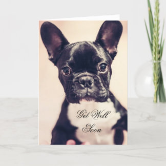 Obtenha o cartão bom do cão do buldogue logo