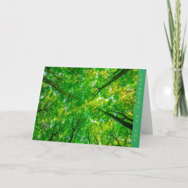 Obter Cartão Bem (Frente)