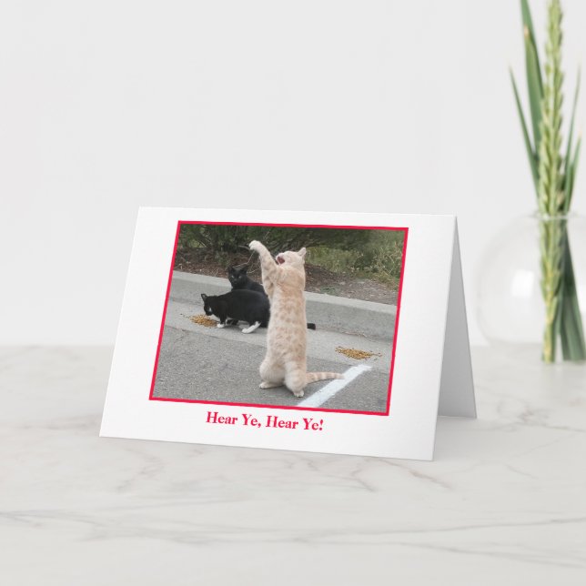 Obter Cartão Bem (Frente)