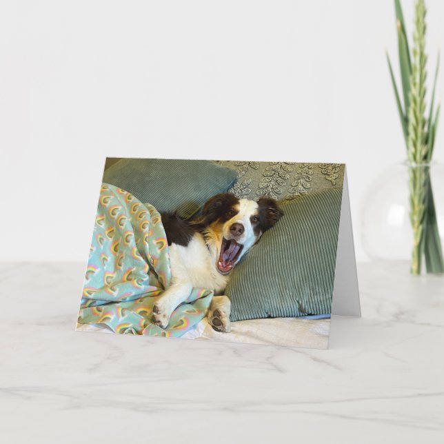 Obter um bom cartão (Frente)