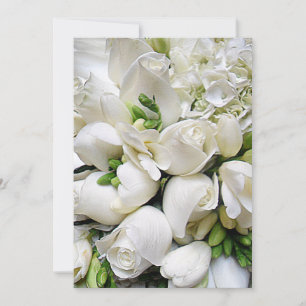 Ocasiões Elegante-Rosa