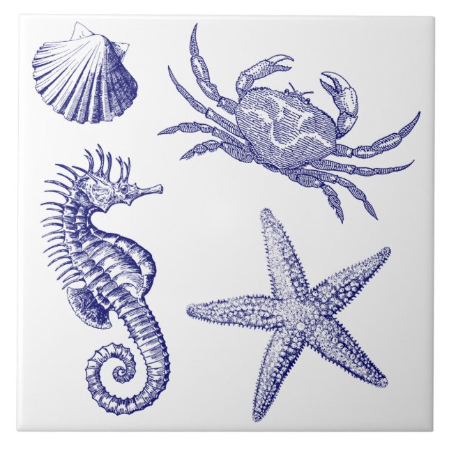 Ocean Beach Seacavalo Starfish Crab & Shell Patter (Frente)