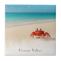 Ocean Vibes - Porta copos de praia personalizável