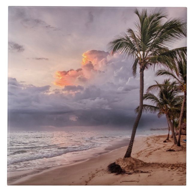 Ocean Waves Sandy Beach Sunset (Frente)