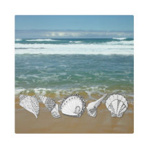 Oceano com conchas desenhadas à mão em foto