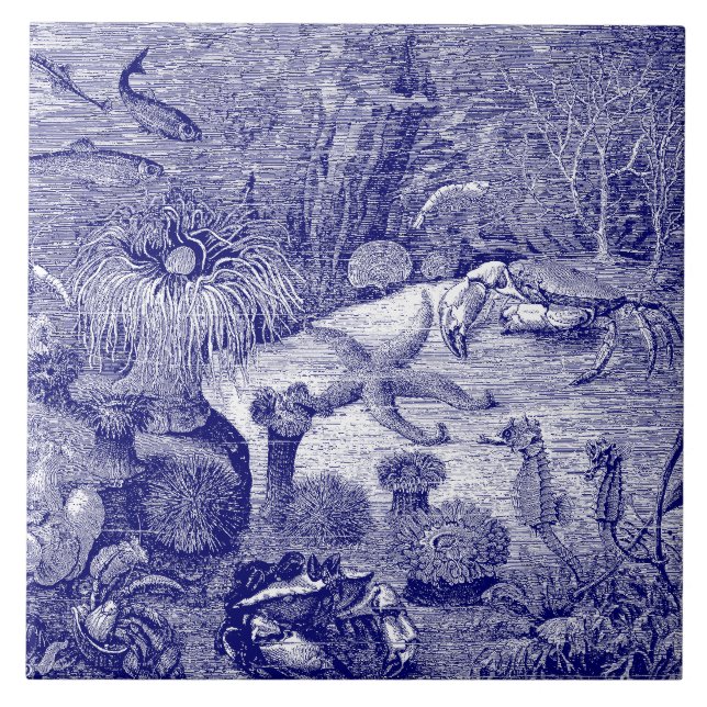 Oceano Marinho Azul e Branco (Frente)