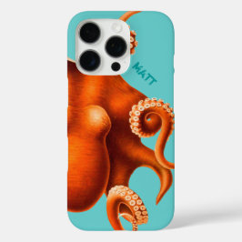 Octopus