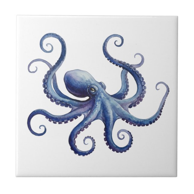 Octopus (Frente)