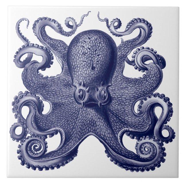 Octopus Azul e Branco (Frente)